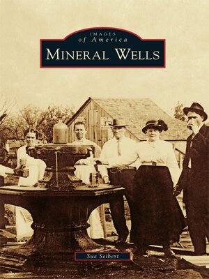 cover image of Mineral Wells